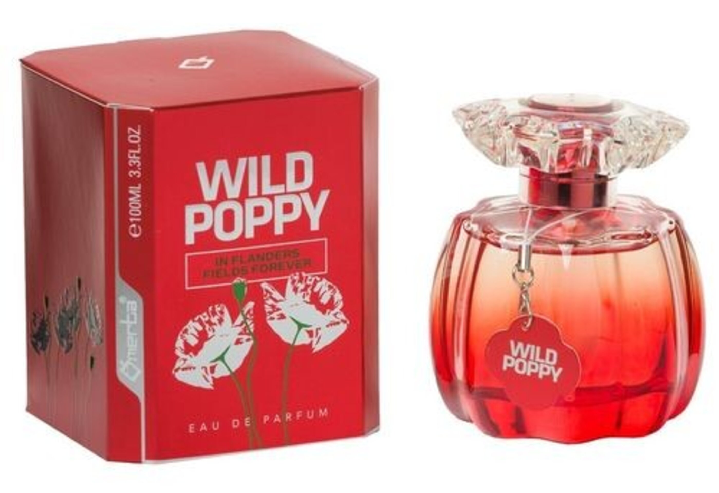 Eau de parfum x - 5