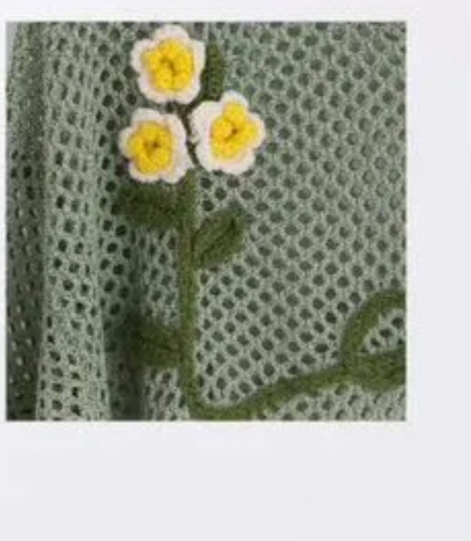 Jersey flor - 2