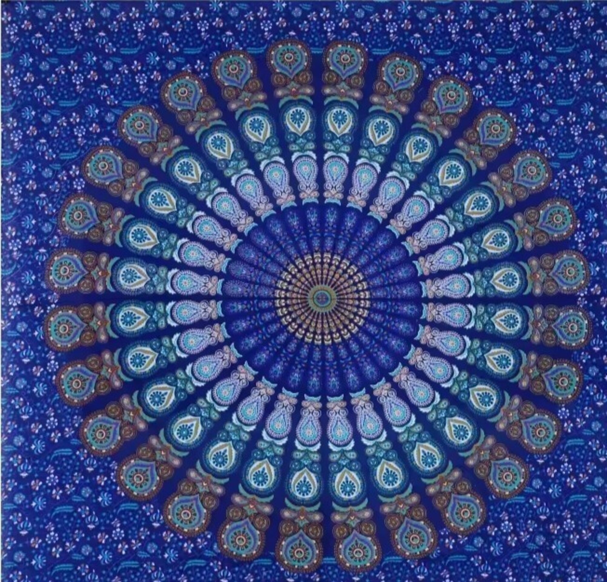 Pareo - 1