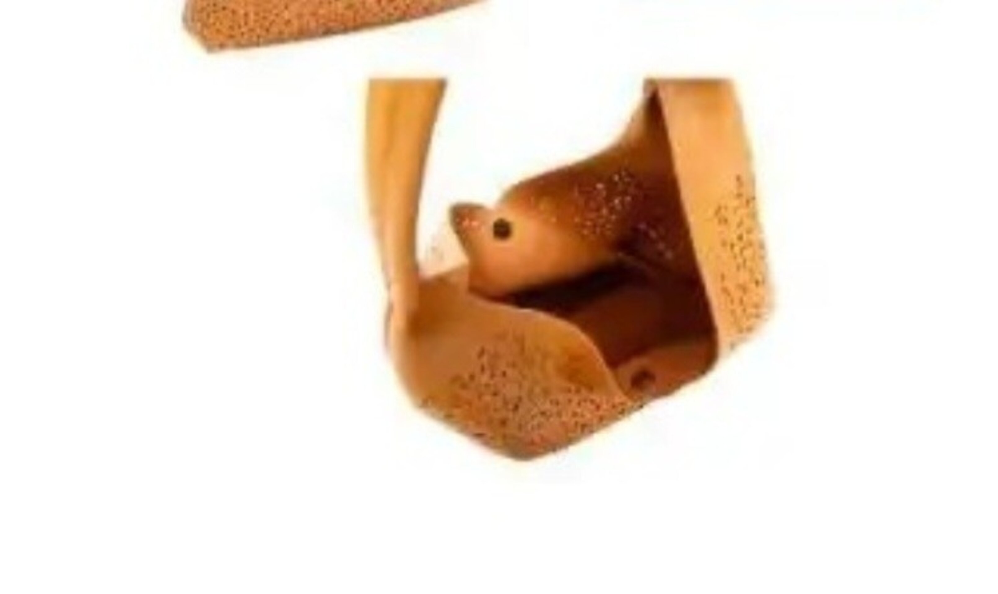 Bolso - 5